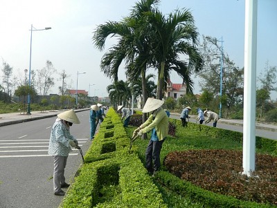 Tỉnh Quảng Nam thực hiện dự án chăm sóc hoa viên, cây xanh, thảm cỏ có trị giá hơn 2,1 tỷ đồng