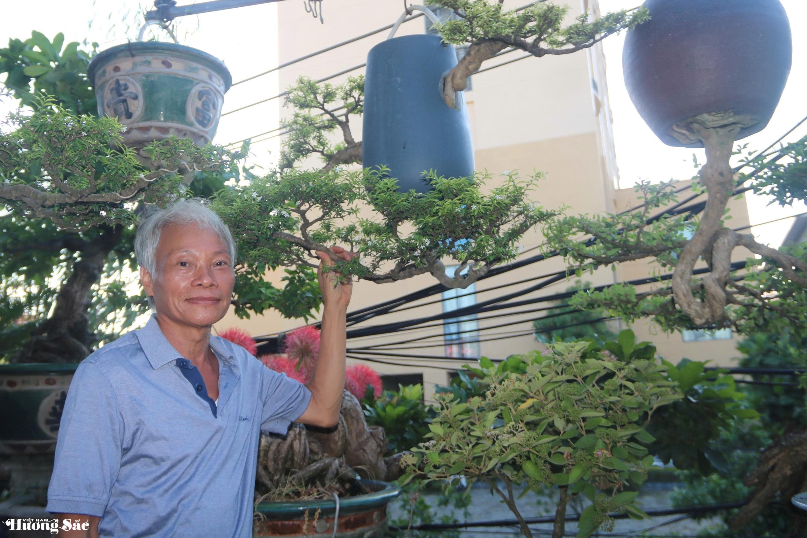 Ngắm dàn bonsai mọc ngược độc lạ của dị nhân xứ Quảng
