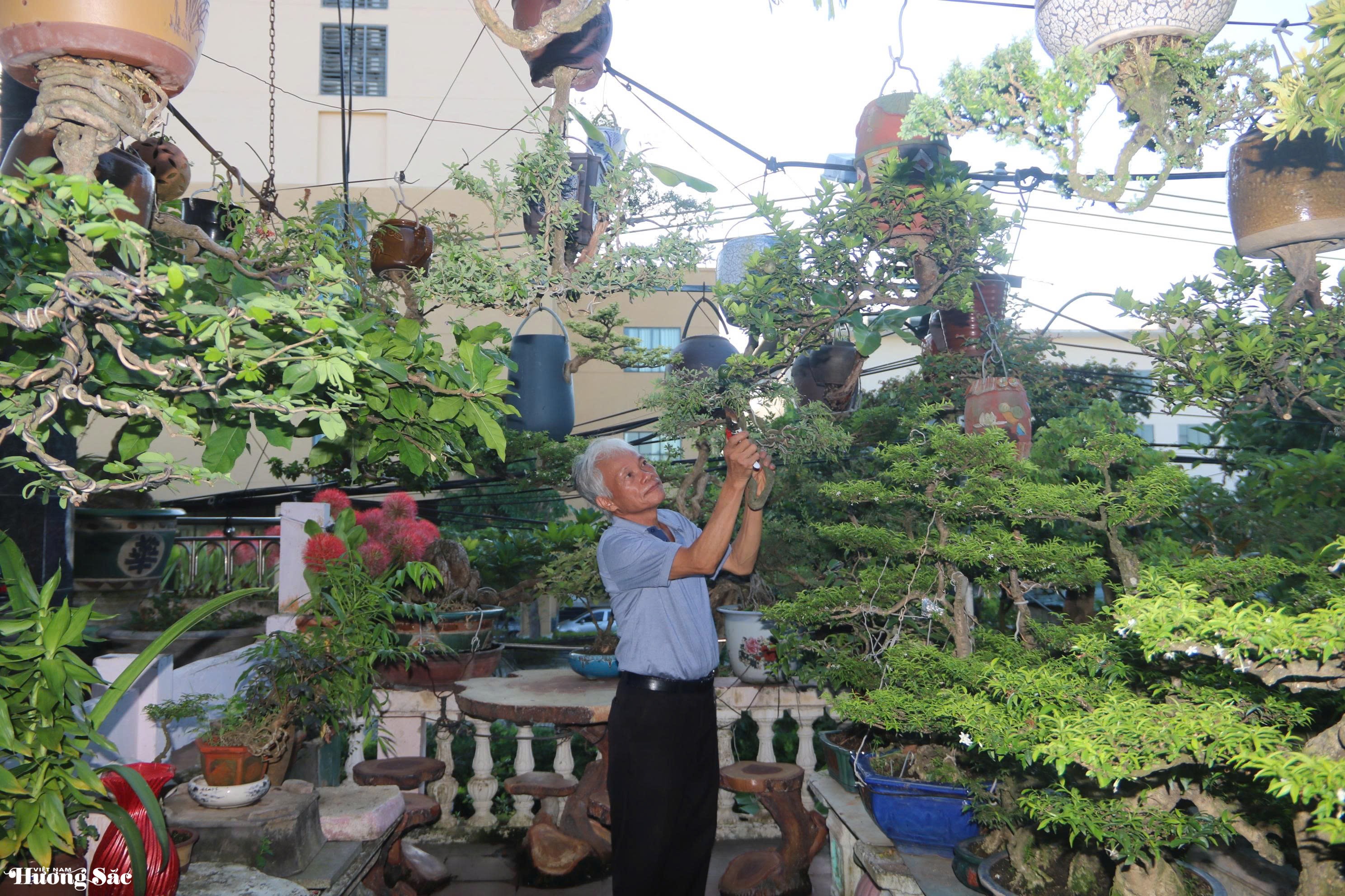 Ngắm dàn bonsai mọc ngược độc lạ của dị nhân xứ Quảng Ngắm dàn bonsai mọc ngược độc lạ của dị nhân xứ Quảng