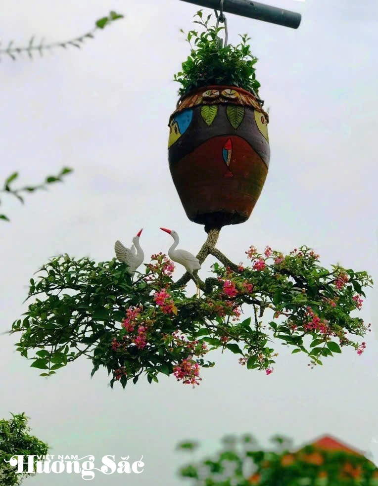 Ngắm dàn bonsai mọc ngược độc lạ của dị nhân xứ Quảng Ngắm dàn bonsai mọc ngược độc lạ của dị nhân xứ Quảng