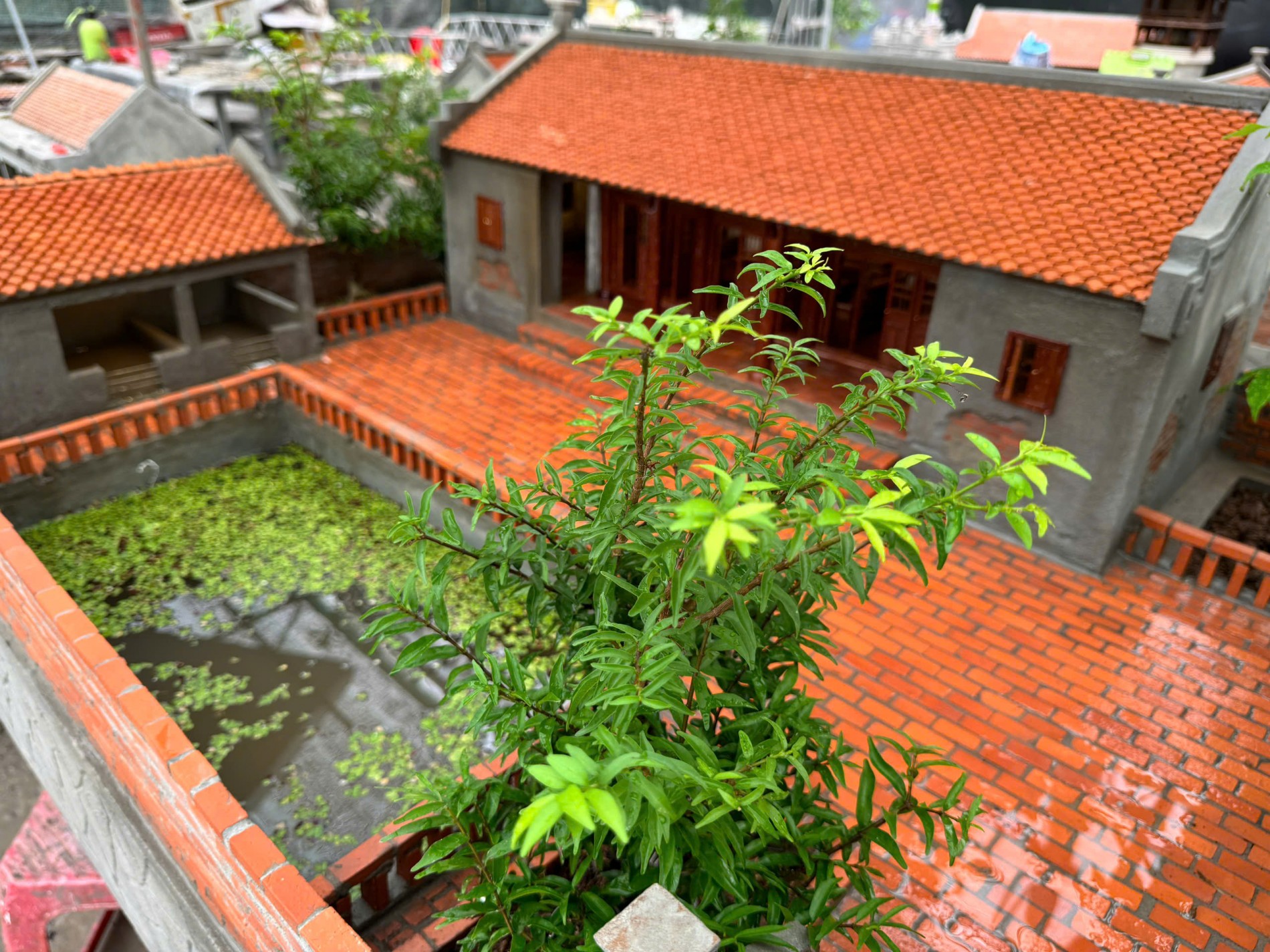 Người “gom ký ức” vào từng mái ngói và hành trình tái hiện những ngôi nhà ở miền thương nhớ