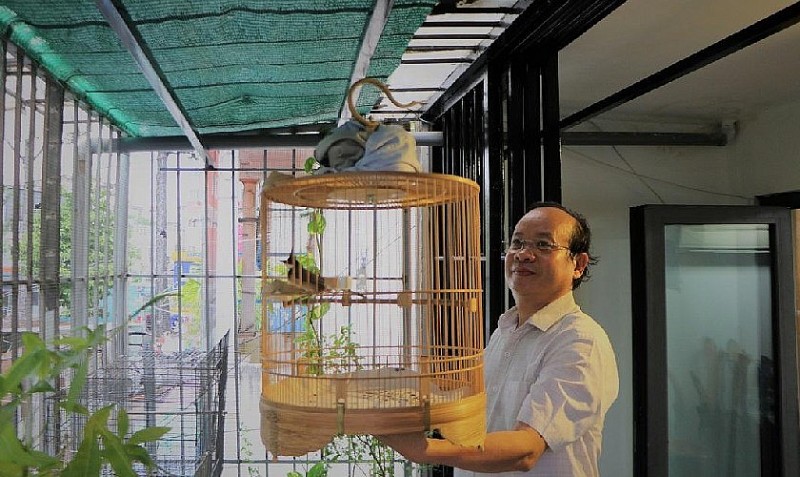 Tiến sĩ, bác sĩ Võ Văn Nhân chia sẻ kinh nghiệm chăm sóc chào mào căng lửa