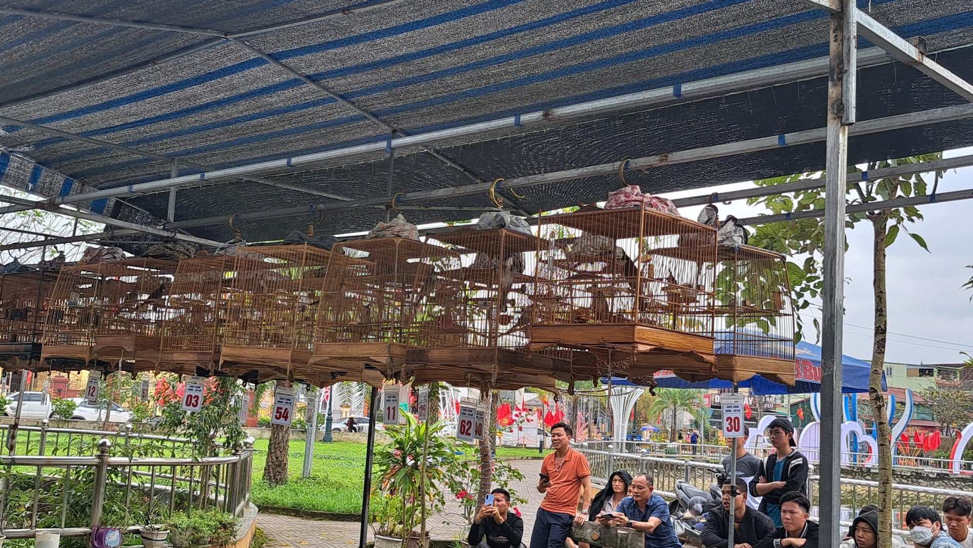 Hà Tĩnh: Phong trao nuôi và thi chim cảnh ngày càng phát triển