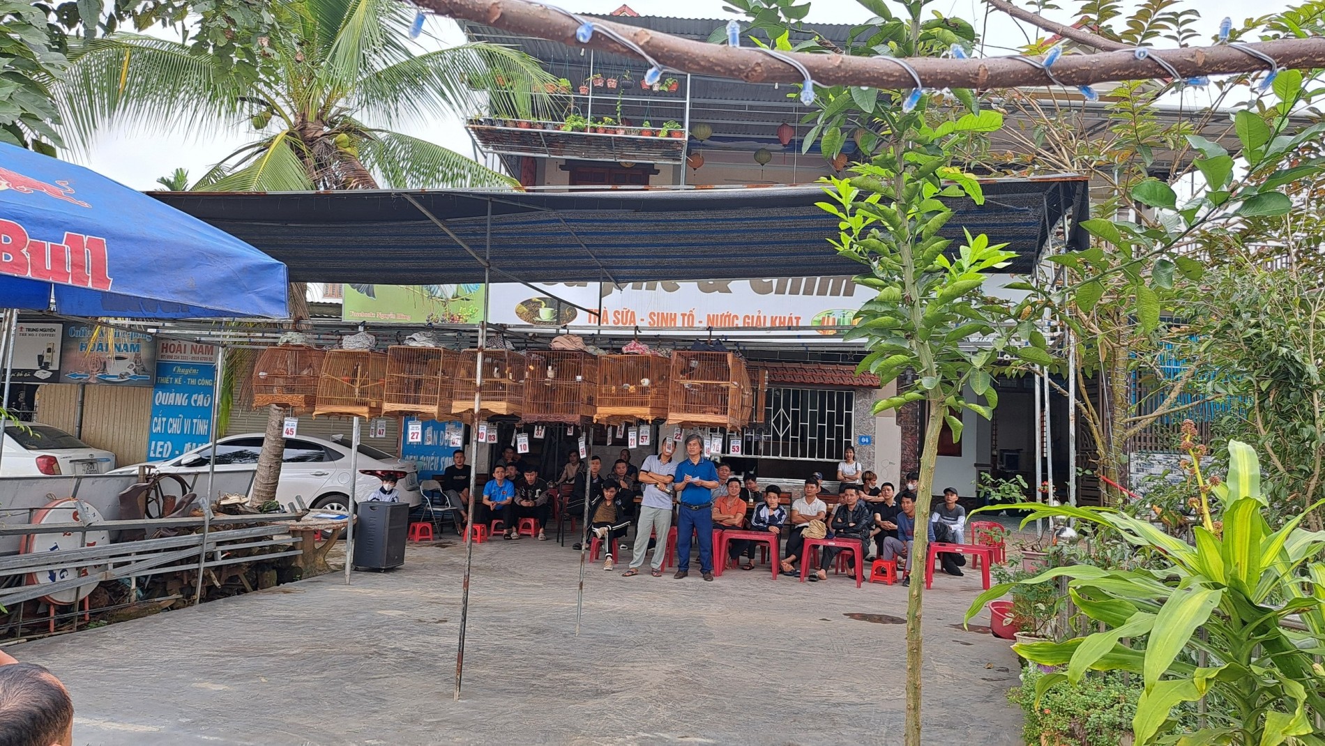 Hà Tĩnh: Phong trao nuôi và thi chim cảnh ngày càng phát triển