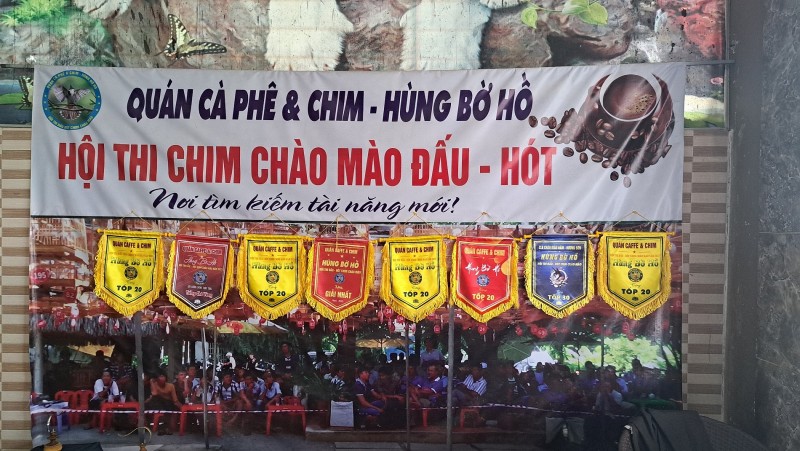 Hà Tĩnh: Phong trao nuôi và thi chim cảnh ngày càng phát triển