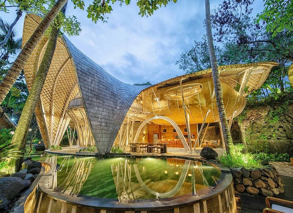 EcoBambu:  Kiến tạo hệ sinh thái xanh từ cây tre Việt