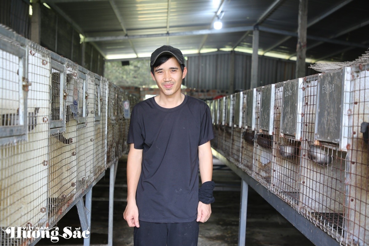 Bỏ phố về quê nuôi chồn hương, chàng trai 9X bỏ túi hơn nửa tỷ đồng mỗi năm