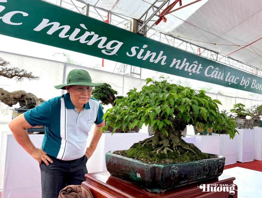Câu lạc bộ Bonsai Đầm Trành: Bảo tồn, hội nhập và sáng tạo Câu lạc bộ Bonsai Đầm Trành: Bảo tồn, hội nhập và sáng tạo