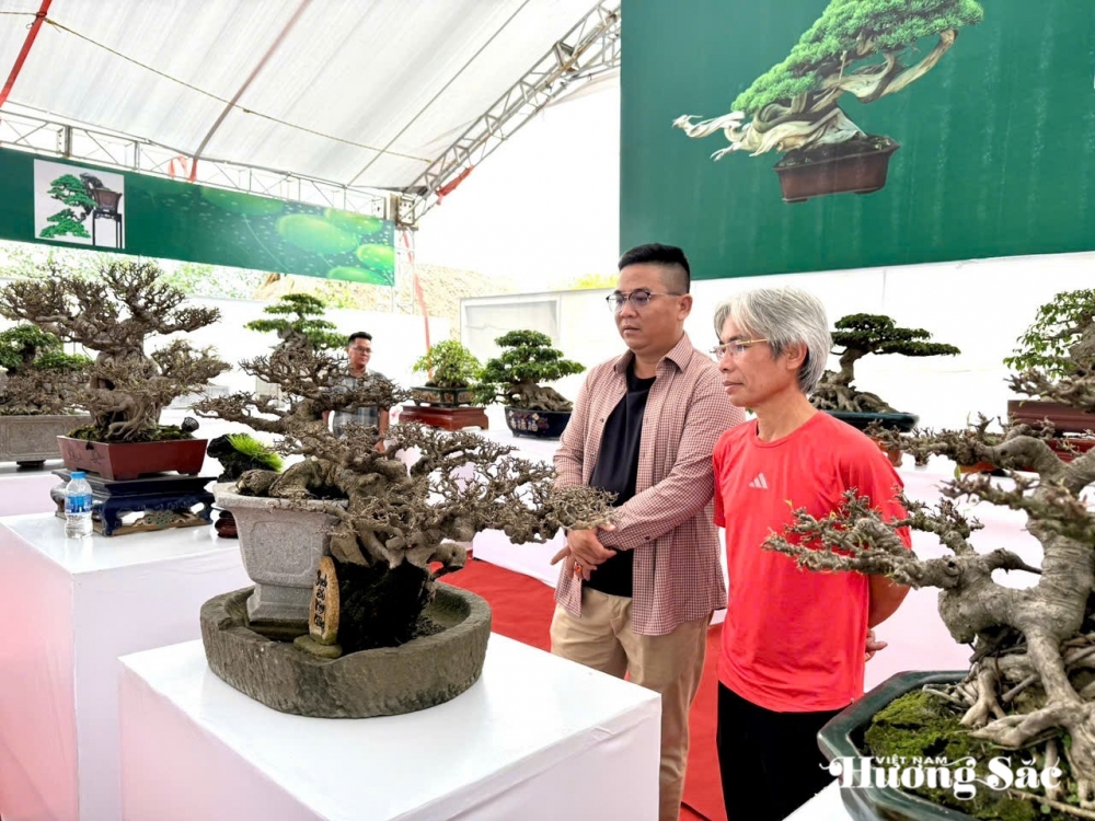 Câu lạc bộ Bonsai Đầm Trành: Bảo tồn, hội nhập và sáng tạo Câu lạc bộ Bonsai Đầm Trành: Bảo tồn, hội nhập và sáng tạo