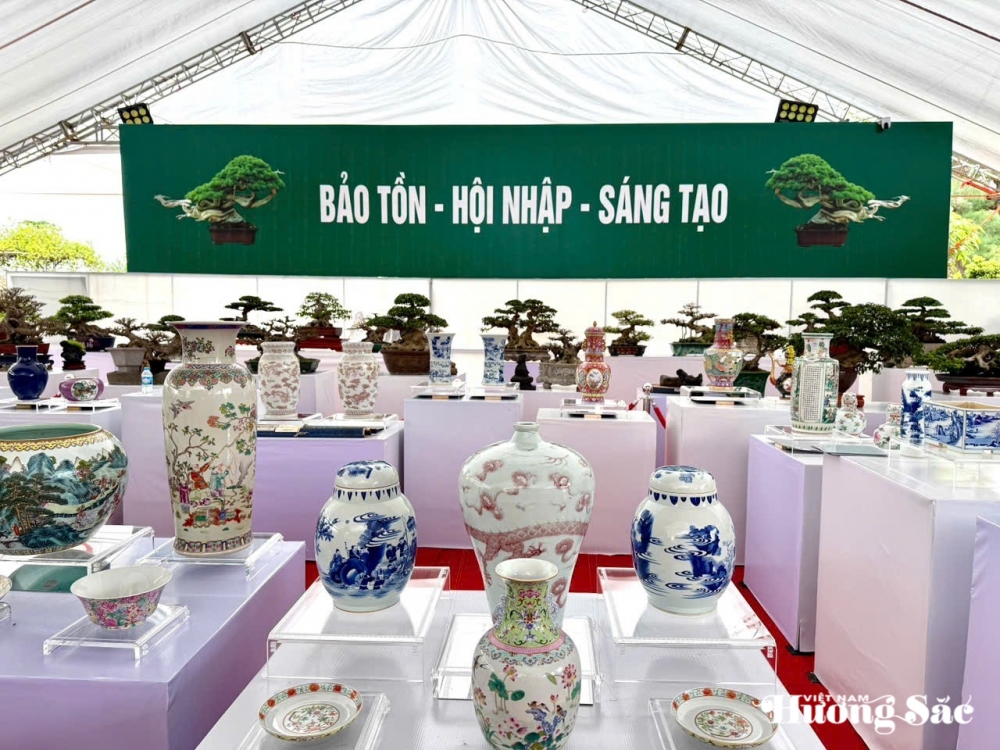 Câu lạc bộ Bonsai Đầm Trành: Bảo tồn, hội nhập và sáng tạo Câu lạc bộ Bonsai Đầm Trành: Bảo tồn, hội nhập và sáng tạo
