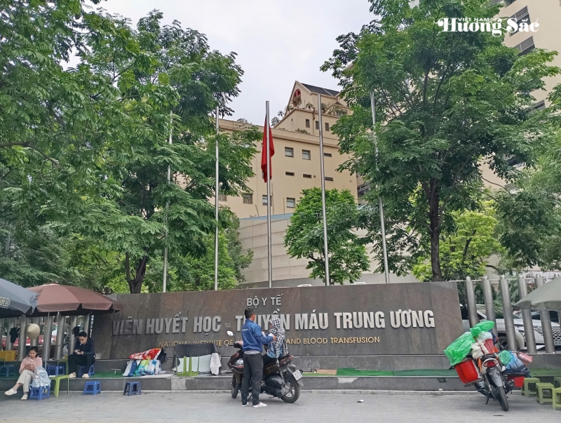 Nhiều cảnh quan, không gian xanh được triển khai tại Viện Huyết học - Truyền máu Trung ương