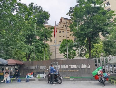 Nhiều cảnh quan, không gian xanh được triển khai tại Viện Huyết học - Truyền máu Trung ương