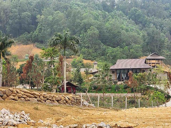 TP. Hà Nội: Tăng cường công tác quản lý, bảo vệ rừng, PCCCR và xử lý tình trạng san ủi, xây dựng trái phép trên đất Lâm nghiệp