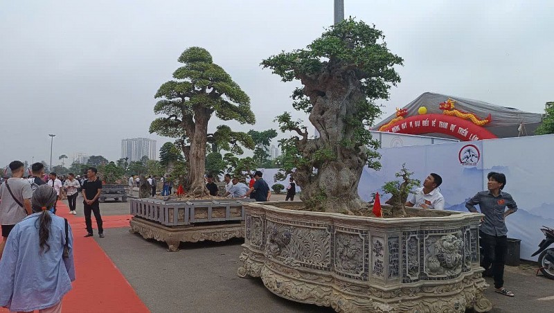 Cách tính và nộp thuế GTGT, TNCN với ngành nghề kinh doanh sinh vật cảnh: Những điều cần biết theo quy định pháp luật