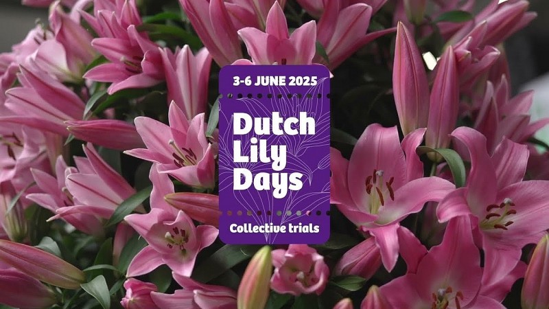 Dutch Lily Days 2025: Ngày hội hoa Lily Hà Lan tỏa hương quốc tế, bền vững cùng tương lai ngành giống