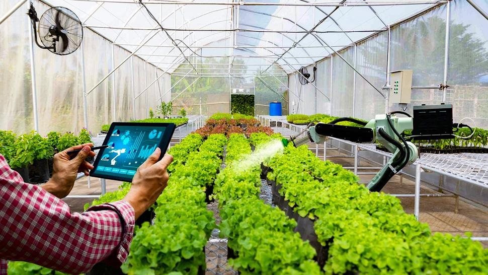 Chuẩn hóa truy xuất nguồn gốc – Nền tảng của nông nghiệp bền vững