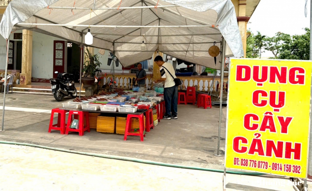 Xưởng sản xuất dụng cụ cây cảnh Anh Ngọc: Nơi tiếp lửa truyền thống đến đam mê nghề nghiệp