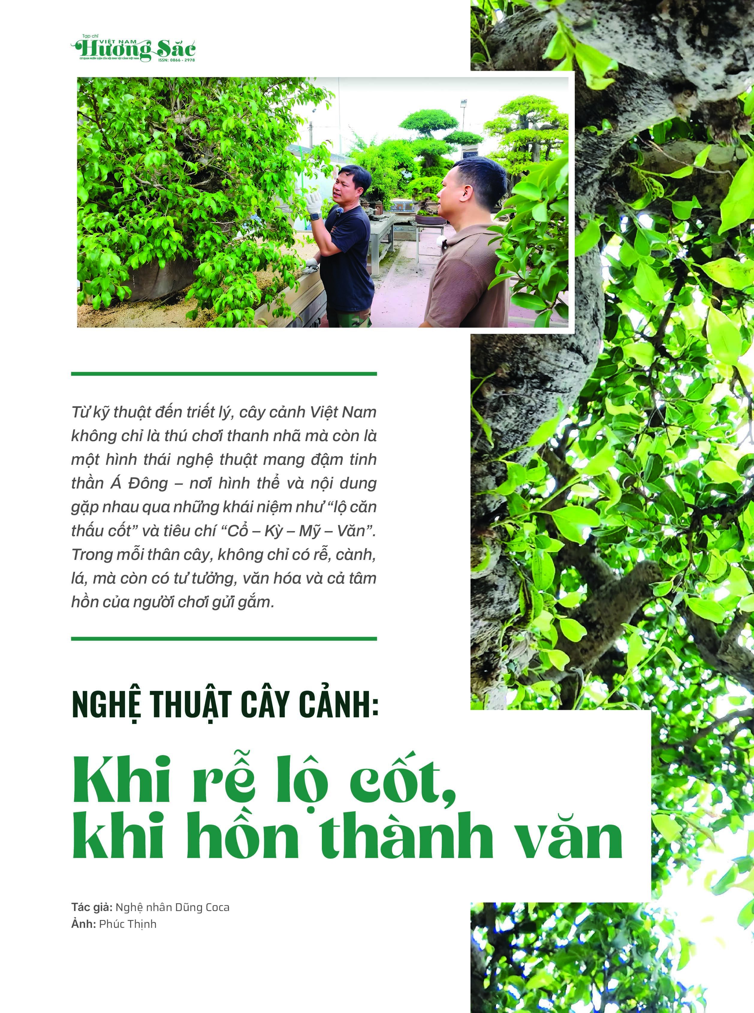 Đặc san tháng 6 của Tạp chí Việt Nam hương sắc: Sinh vật cảnh trong không gian sống đô thị