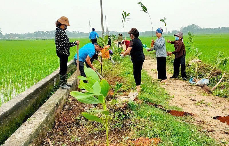 Hội Nông dân tỉnh Bắc Ninh: Đẩy mạnh trồng, chăm sóc cây xanh và bảo vệ môi trường