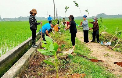 Hội Nông dân tỉnh Bắc Ninh: Đẩy mạnh trồng, chăm sóc cây xanh và bảo vệ môi trường