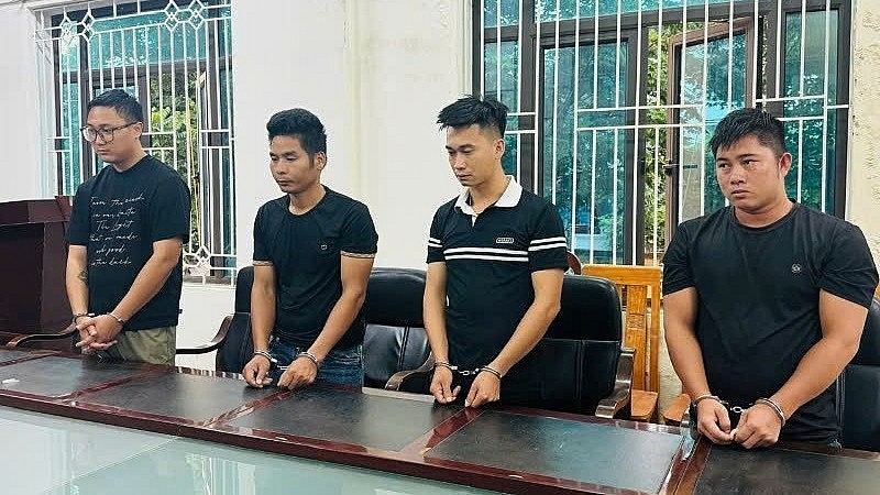 Vĩnh Phúc: Nhiều đối tượng bị khởi tố về hành vi buôn lậu cây dó bầu