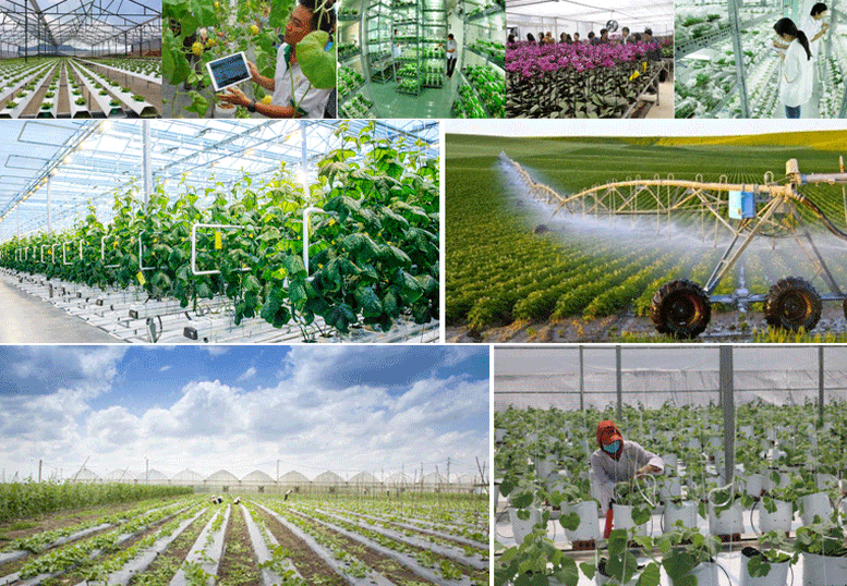 Nghị định số 156/2025: Hỗ trợ nông dân vượt khó bằng cơ chế tín dụng linh hoạt