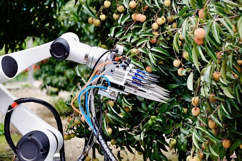 Thủ phủ vải thế giới bội thu nhờ công nghệ cao: AI, robot, drone đồng loạt ra trận