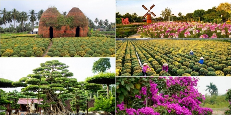 5 làng cây cảnh nổi tiếng Việt Nam mang giá trị kinh tế cao, giúp nông dân đổi đời
