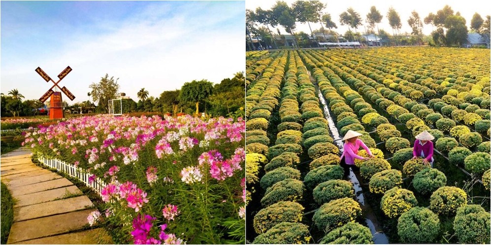 5 làng cây cảnh nổi tiếng Việt Nam mang giá trị kinh tế cao, giúp nông dân đổi đời