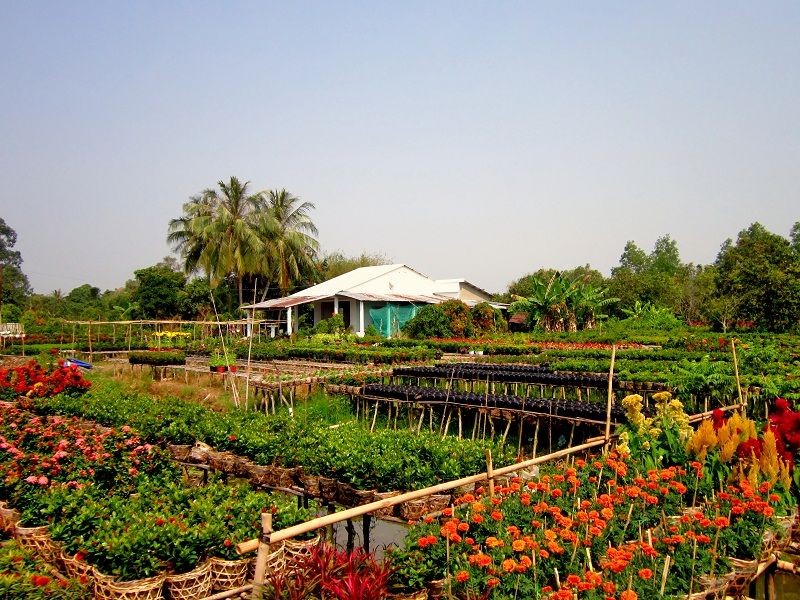 5 làng cây cảnh nổi tiếng Việt Nam mang giá trị kinh tế cao, giúp nông dân đổi đời
