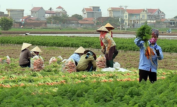 Nông nghiệp Bắc Ninh: Hướng tới tương lai xanh bền vững