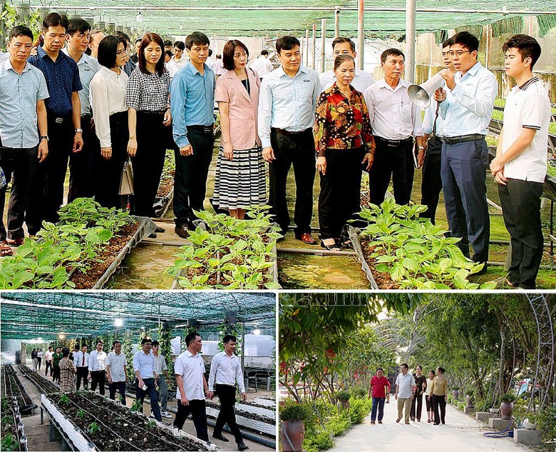 Nông nghiệp Bắc Ninh: Hướng tới tương lai xanh bền vững