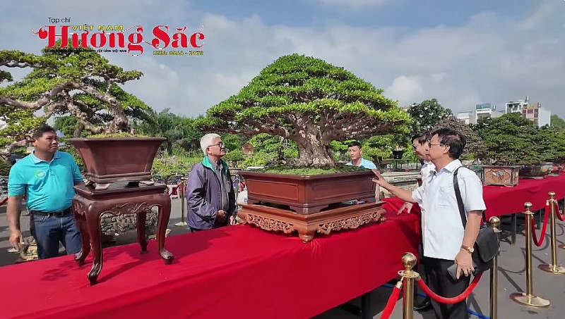 Festival Sinh vật cảnh TP Dĩ An lần thứ II: Lan tỏa giá trị xanh, kết nối văn hóa và thương mại