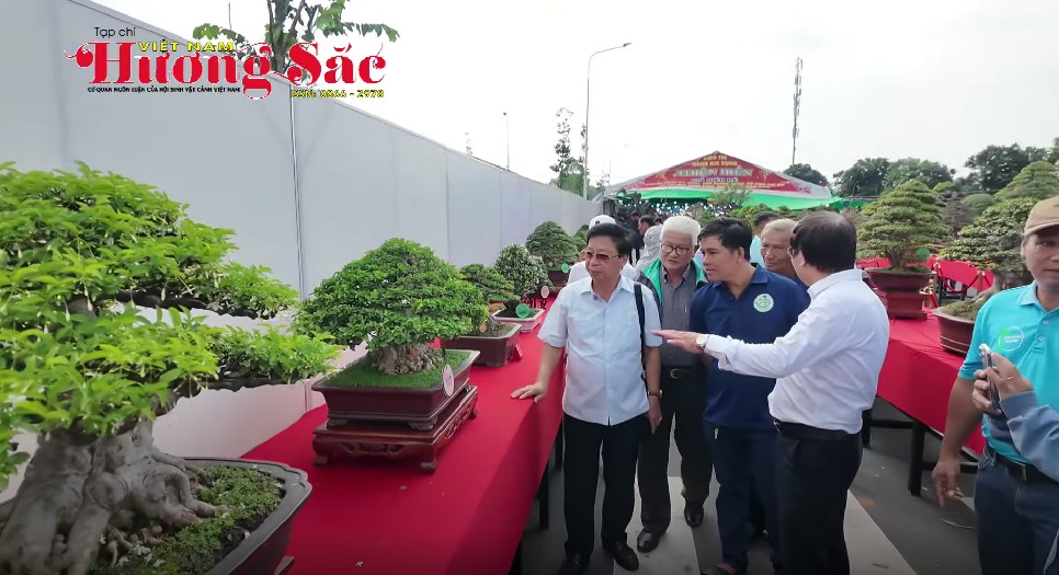 Festival Sinh vật cảnh TP Dĩ An lần thứ II: Lan tỏa giá trị xanh, kết nối văn hóa và thương mại