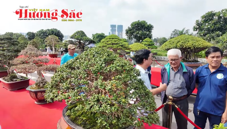 Festival Sinh vật cảnh TP Dĩ An lần thứ II: Lan tỏa giá trị xanh, kết nối văn hóa và thương mại