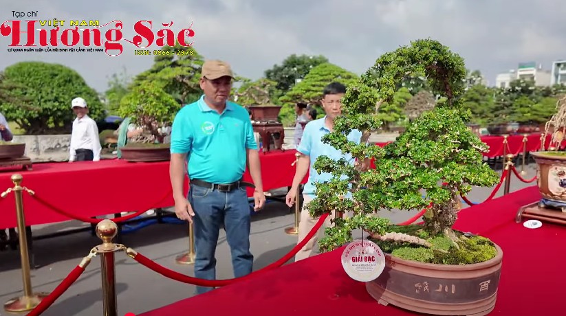 Festival Sinh vật cảnh TP Dĩ An – Bức tranh xanh lan tỏa văn hóa và xúc tiến thương mại