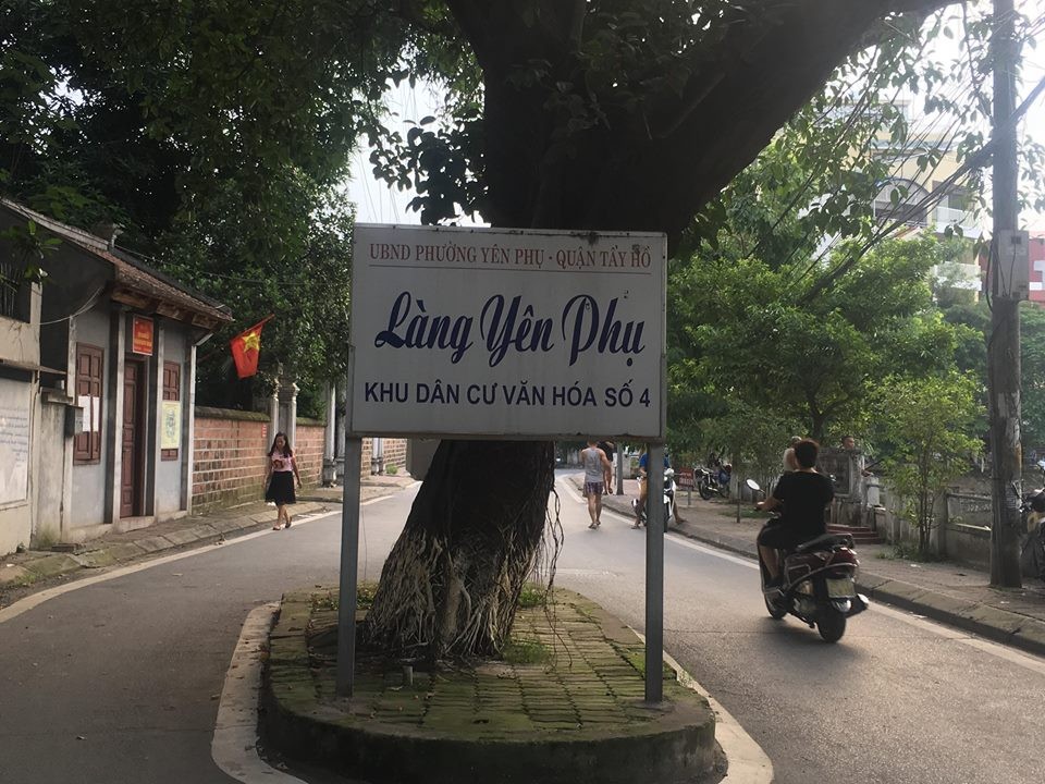 Khám phá 5 làng cá cảnh nổi tiếng Việt Nam:  Nơi nghề nuôi cá cảnh trở thành sinh kế thịnh vượng