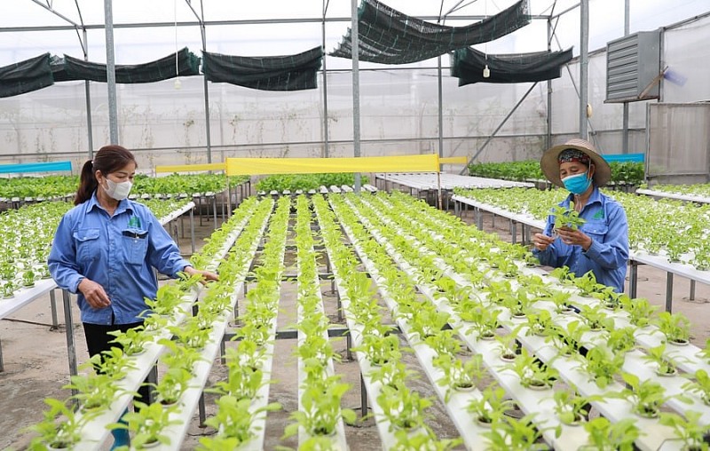Khẩn trương hoàn thành các dự án chuyển đổi số, cơ sở dữ liệu ngành nông nghiệp và môi trường