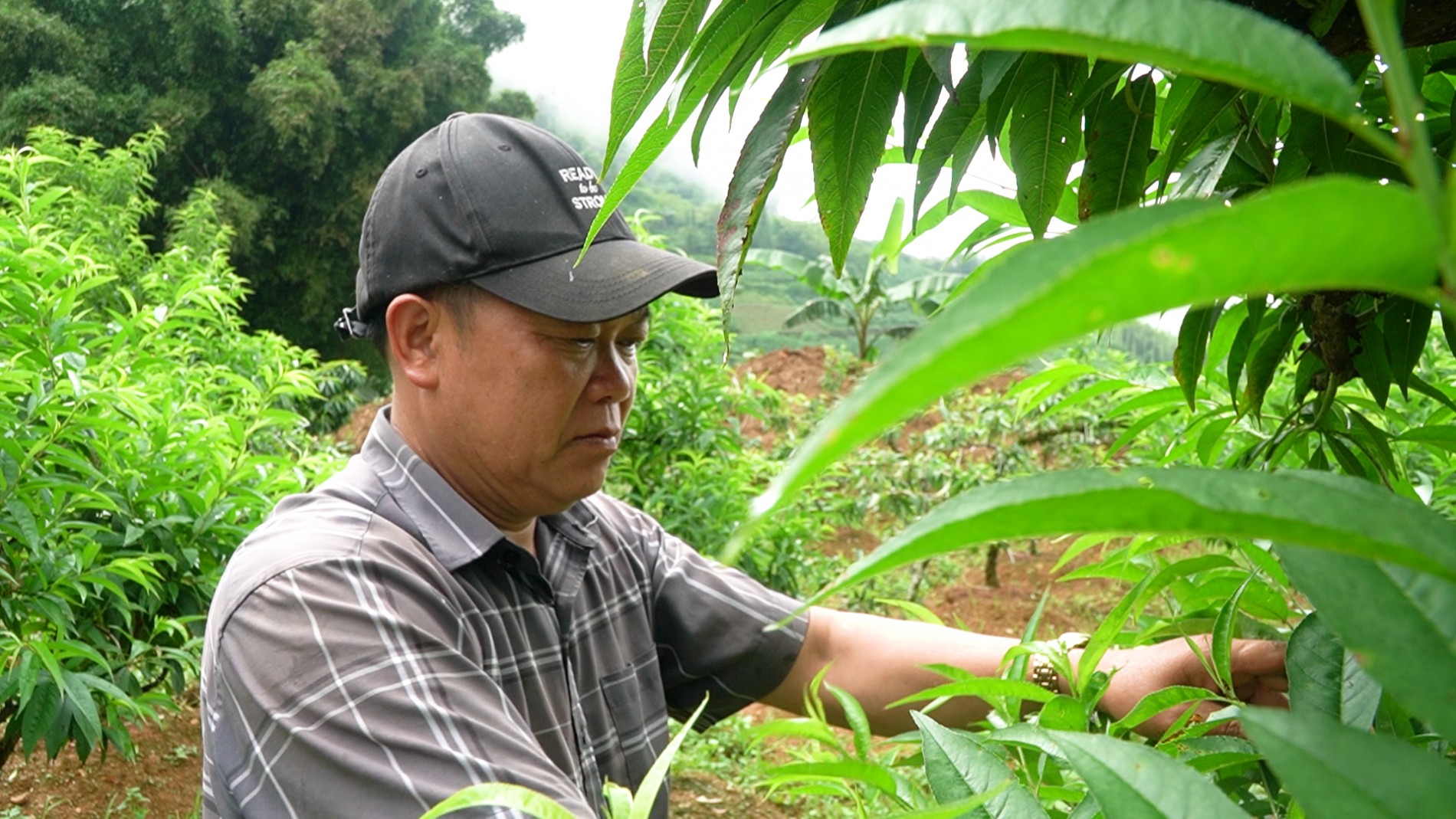 Chân dung những nông dân làm kinh tế giỏi: Biến đất cằn thành vườn cây tiền tỷ