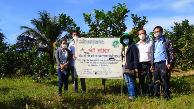 Chân dung những nông dân làm kinh tế giỏi: Biến đất cằn thành vườn cây tiền tỷ
