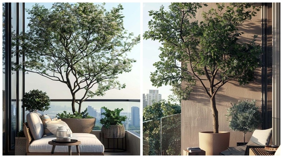 Cảnh báo 3 loại cây “càng đẹp càng nguy hiểm”, không nên trồng ở ban công