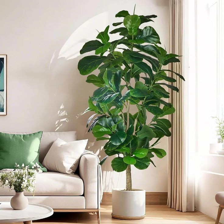 10 loại cây trồng trong nhà không cần ánh sáng - biến mọi góc tối thành không gian xanh mát
