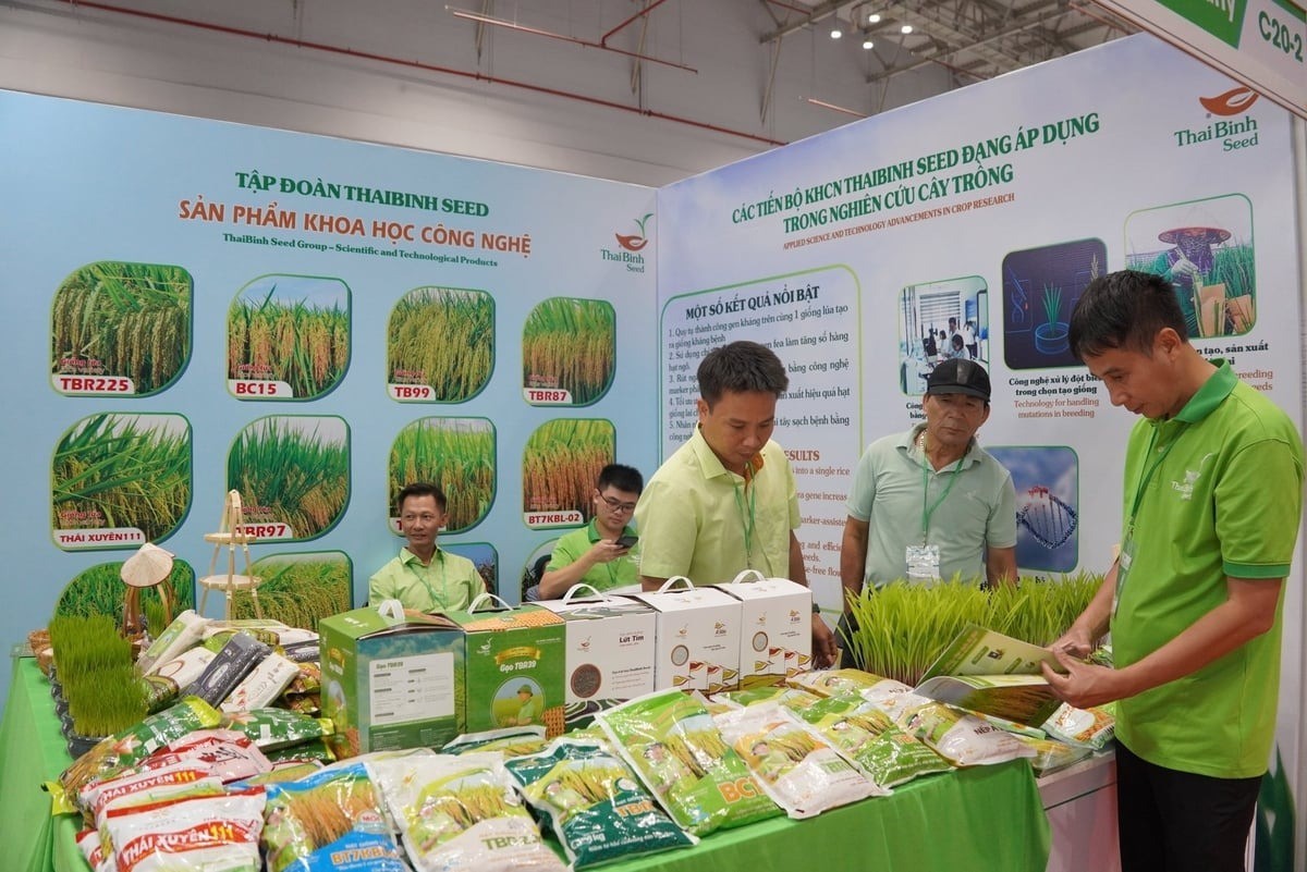 Các sản phẩm của Tập đoàn Thaibinh Seed.