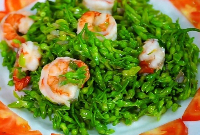 9 loài hoa vừa đẹp mê mẩn vừa ăn được, cực tốt cho sức khỏe
