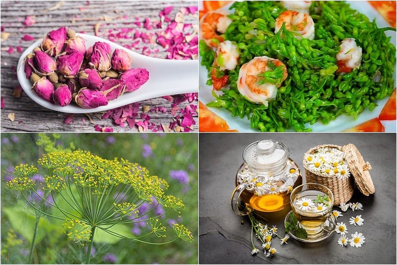 9 loài hoa vừa đẹp mê mẩn vừa ăn được, cực tốt cho sức khỏe