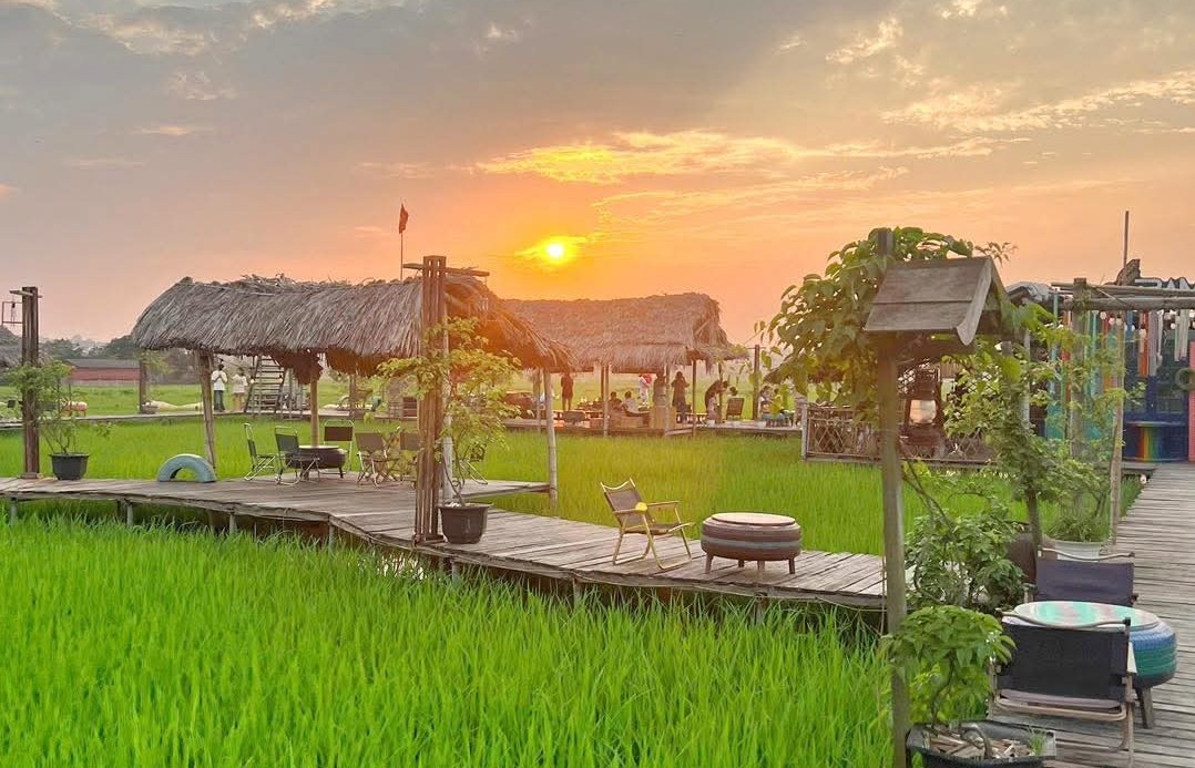 “Quán cà phê giữa ruộng lúa” gây sốt ở Hà Nội: Ngồi chòi lá, uống cà phê, ngắm đồng vàng