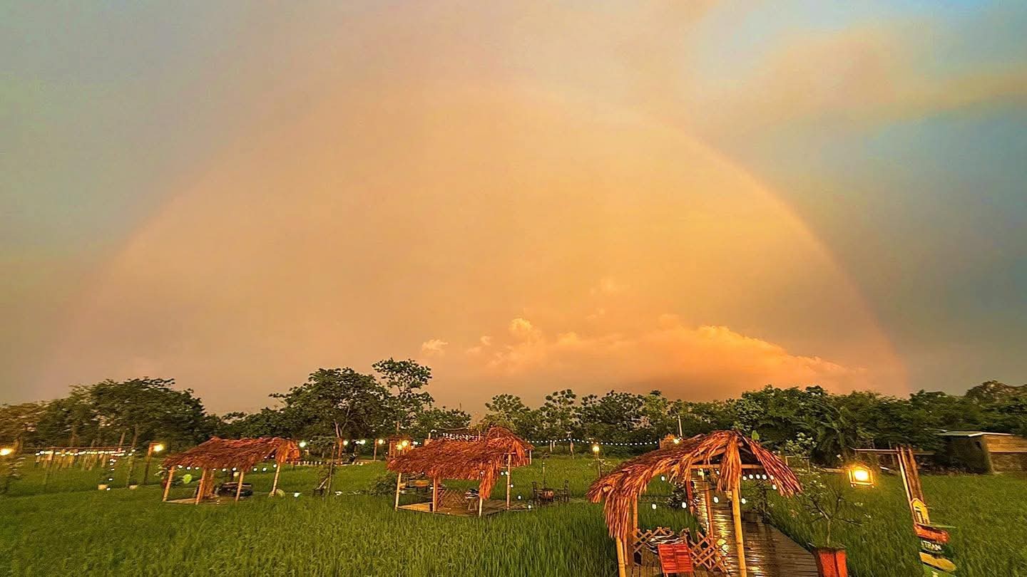 “Quán cà phê giữa ruộng lúa” gây sốt ở Hà Nội: Ngồi chòi lá, uống cà phê, ngắm đồng vàng