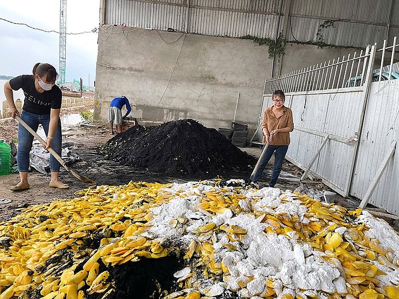 Đồng Tháp: Biến phế phẩm thành tài nguyên, thúc đẩy kinh tế tuần hoàn
