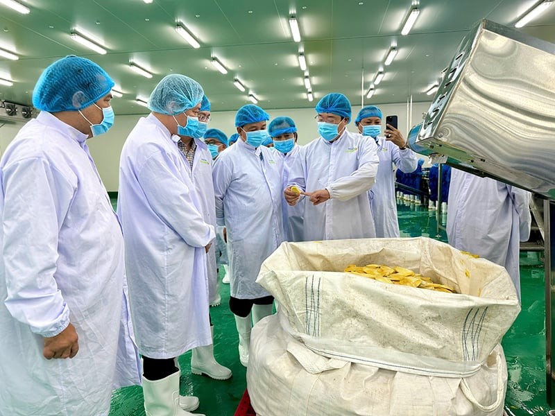 Nông dân biến phế phẩm thành tài nguyên, thúc đẩy kinh tế tuần hoàn