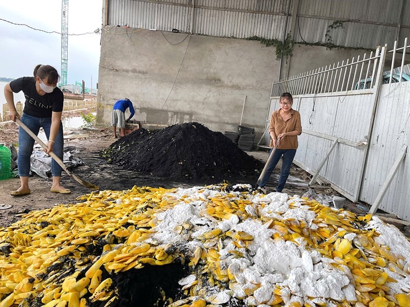 Đồng Tháp: Biến phế phẩm thành tài nguyên, thúc đẩy kinh tế tuần hoàn